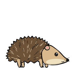 hedgehog