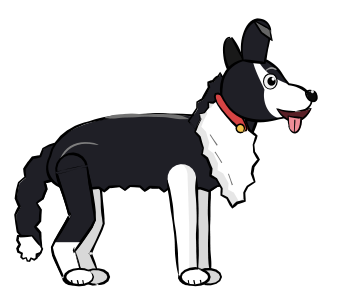 Joey the border collie