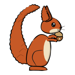 squirrel